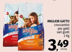 Croccantini Per Gatti
