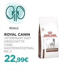 Royal Canin - Veterinary Diet Crocchette Cane Gastrointestinal