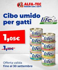 Life -  Cat