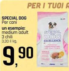 Monge - Special Dog