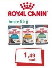 Royal Canin -  Buste
