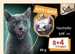 Sheba - Vaschette