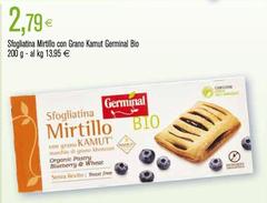 Germinal - Sfogliatina Mirtillo Con Grano Kamut Bio