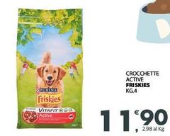 Purina - Crocchette Active Friskies