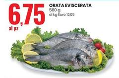 Orata Eviscerata