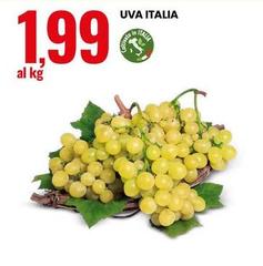 Uva Italia
