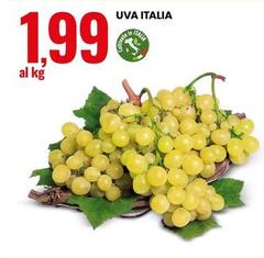 Uva Italia