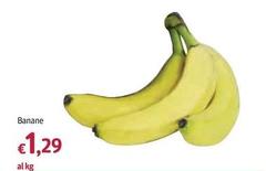 Banane