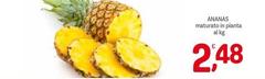 Ananas