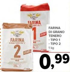 Farina Di Grano Tenero Tipo 1/Tipo 2