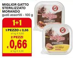 Morando - Miglior Gatto Sterilizzato
