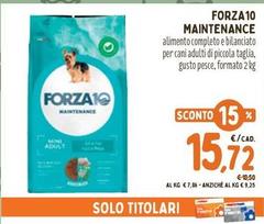 Solo - Forza10