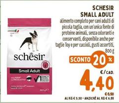 Schesir - Small Adult
