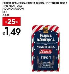 Molino Spadoni - Farina D'America Farina Di Grano Tenero Tipo 1 Tipo Manitoba