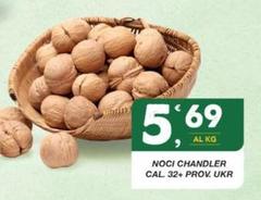 Chandler - Noci  Cal 32+ Prov. Ukr