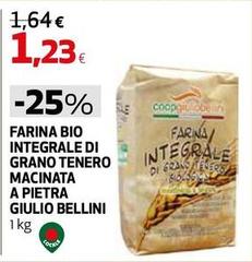 Bio - Farina  Integrale Di Grano Tenero Macinata A Pietra