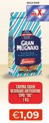 Molino Spadoni - Farina Gran Mugnaio Antigrumi Tipo