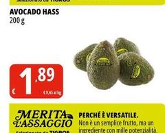 Avocado Hass