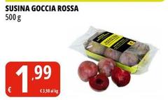 Susina Goccia Rossa
