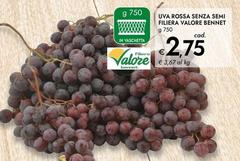 Semi - Uva Rossa Senza  Filiera
