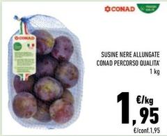 Conad - Suine Nere Allungate Percorso Qualita'