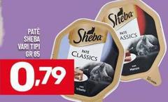 Sheba - Pate