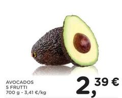 Avocados 5 Frutti