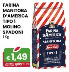 Molino Spadoni - Farina Manitoba D'America Tipo 1 Molino