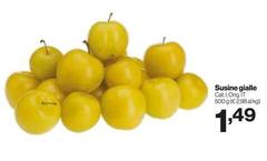 Suine Gialle