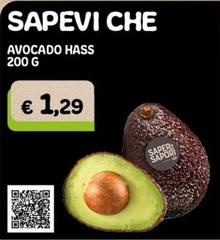 Sapori - Avocado Hass