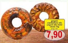 Gargani - Ciambellone Allo Yogurt Alle Mele/ Cacao