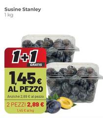 Stanley - Sucine