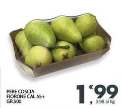 Pere Coscia Fiorone Cal.55+