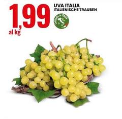 Uva Italia