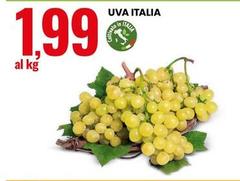 Uva Italia