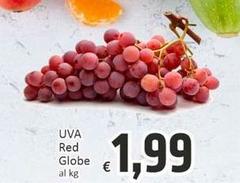 Uva Red Globe
