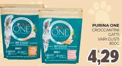 Purina - Croccantini Gatti