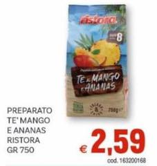 Ristora - Preparato Te'mango E Ananas