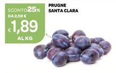 Prugne