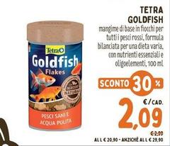 Tetra -  Goldfish