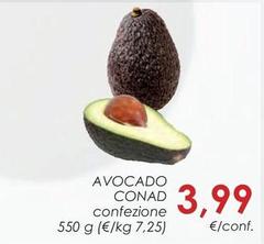 Conad - Avocado 