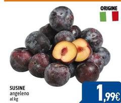 Origine - Susine
