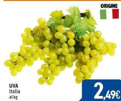 Origine - Uva Italia