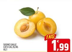 Susine Gialle Cat.II Cal.35/45