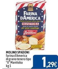 Molino spadoni - Farina D'America Di Grano Tenero Tipo