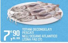 Totani Decongelati Pescati Nell'oceano Atlantico