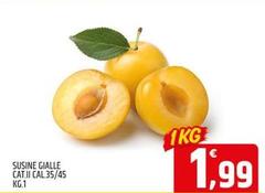 Sucine Gialle