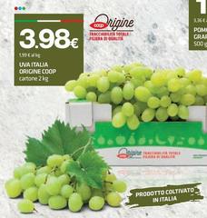 Origine - Uva Italia