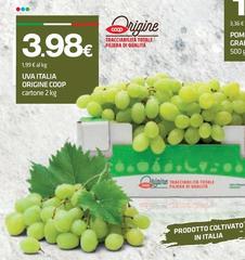 Origine - Uva Italia