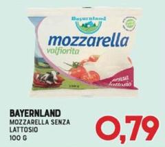 Bayernland - Mozzarella Senza Lattosio